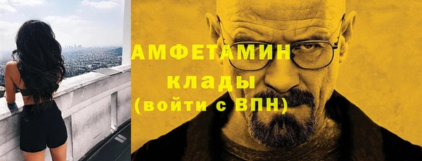 тгк Бикин